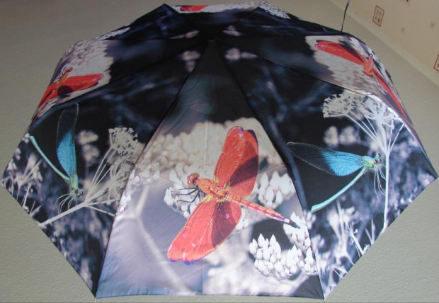 parasol damski butterflies motyle