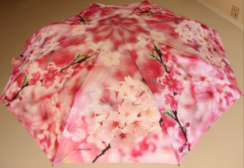 parasol zest 2*automat photo series